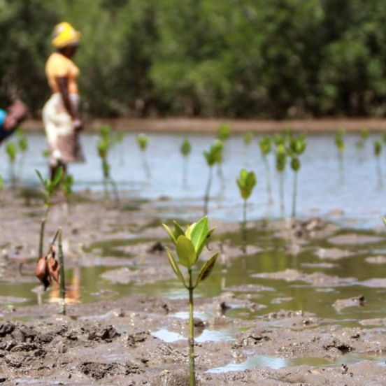 Several new reports out this week highlight the speed with which the changing climate is wreaking havoc on our planet—while a number of groundbreaking actions offer a ray of hope.