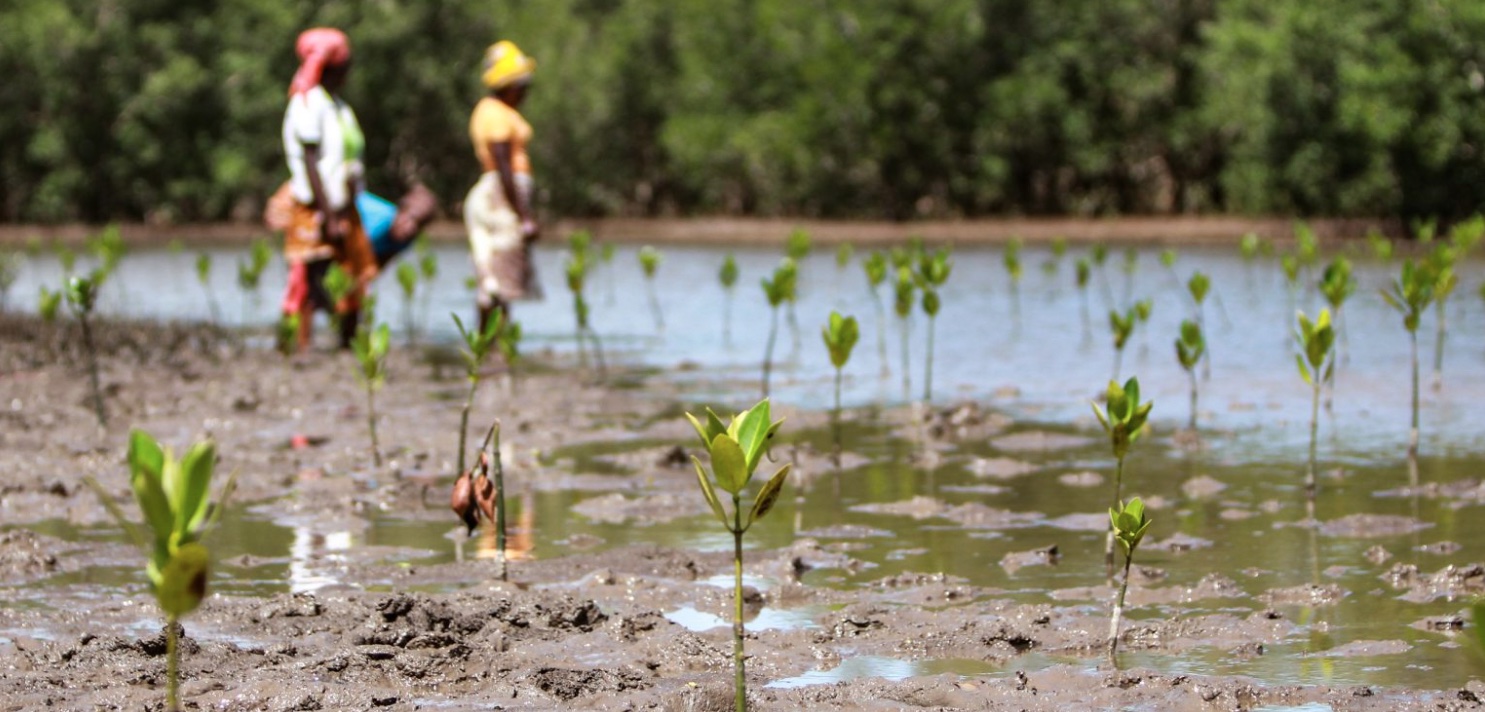 Several new reports out this week highlight the speed with which the changing climate is wreaking havoc on our planet—while a number of groundbreaking actions offer a ray of hope.